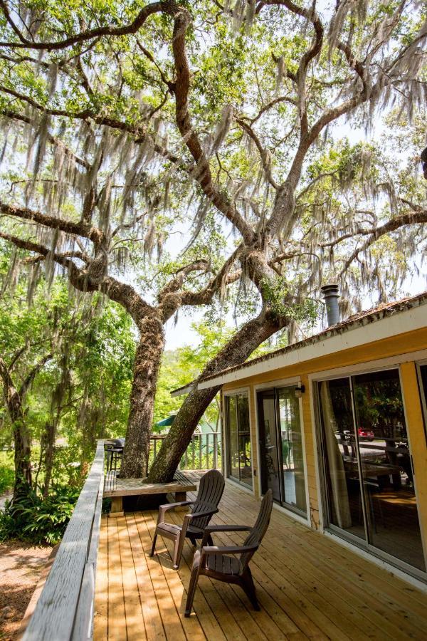 Riverfront Treetop Bungalow โฮโมซาสซา ภายนอก รูปภาพ